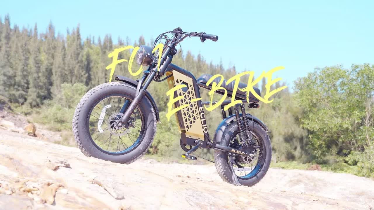 20ร4'' FAT Tires & LCD Display,749W Ebike 20mph with 48V 13Ah Removable Battery๏ผEclio F02 Electric Bike for Adults, Front Headlight & Disc Brakes,7-Speed Dual Suspension Conquer Trails,Supports 330lbs,Ideal for Commuting & Urban Leisure Riding