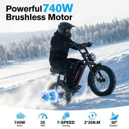Adult Electric 740W Brushless Motor, Removable Dual Battery 48V 8-20AH, All-Terrain Tires & Shock Absorption System Suitable for Mountain, Snow, Sand, Road Riding, 20x4 Inch Tires