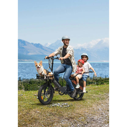 heavy-duty cargo electric bike features a 750W mid-drive motor, torque sensor technology, and 1140W peak power for high-capacity hauling.