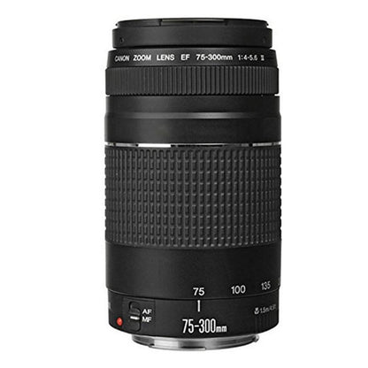 Canon EOS Rebel T7 DSLR Camera with Canon 18-55mm IS II + Canon EF 75-300mm f/4.0-5.6 III Lens
