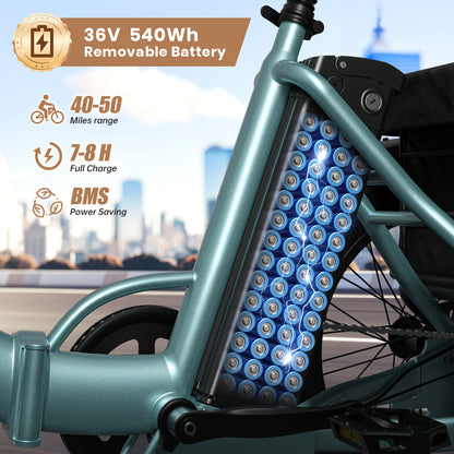 Adult Electric Tricycle, 20" Fat Tire Foldable Electric Tricycle with 749W Brushless Motor, 36V 15Ah Removable Battery Ebike 55Miles Range, 19MPH Cargo Tricycle with Basket, Suitable for Farm Work/Commuting/Travel