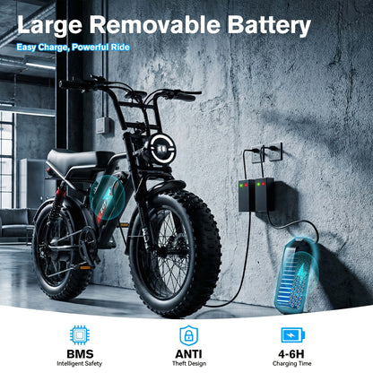 Adult Electric 740W Brushless Motor, Removable Dual Battery 48V 8-20AH, All-Terrain Tires & Shock Absorption System Suitable for Mountain, Snow, Sand, Road Riding, 20x4 Inch Tires