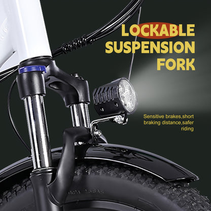 Electric Bike For Adults, RP50 Real 500W 20''×3.0 Fat Tire Electric Bicycle, 14.5Ah 48V Removable Battery Max Range 73Miles For Urban Commuter, High MPH Cargo Ebike With Front Suspension & 7 Speed Gear
