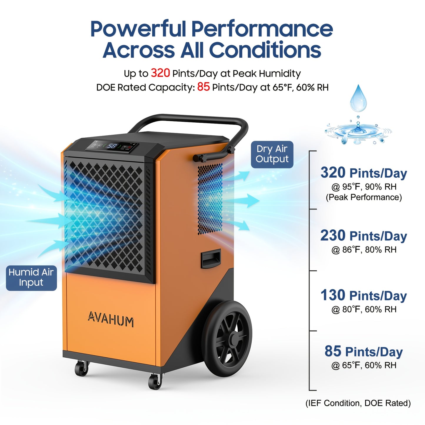 Commercial Dehumidifier for Basements, 305 Pint, 9000 Sq.Ft Large Spaces, 38 Gallon/Day. Commercial Grade Dehumidifiers for Industrial, 24H Timer, Continuous Dehumidification, Auto Defrost