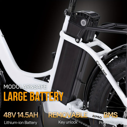 Electric Bike For Adults, RP50 Real 500W 20''×3.0 Fat Tire Electric Bicycle, 14.5Ah 48V Removable Battery Max Range 73Miles For Urban Commuter, High MPH Cargo Ebike With Front Suspension & 7 Speed Gear