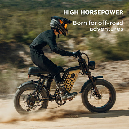 20×4'' FAT Tires & LCD Display,749W Ebike 20mph with 48V 13Ah Removable Battery，Eclio F02 Electric Bike for Adults, Front Headlight & Disc Brakes,7-Speed Dual Suspension Conquer Trails,Supports 330lbs,Ideal for Commuting & Urban Leisure Riding