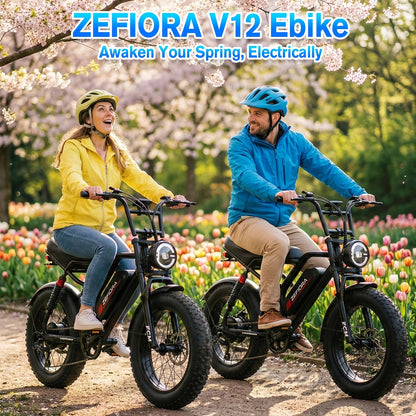 Adult Electric 740W Brushless Motor, Removable Dual Battery 48V 8-20AH, All-Terrain Tires & Shock Absorption System Suitable for Mountain, Snow, Sand, Road Riding, 20x4 Inch Tires