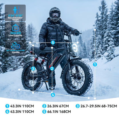 Adult Electric 740W Brushless Motor, Removable Dual Battery 48V 8-20AH, All-Terrain Tires & Shock Absorption System Suitable for Mountain, Snow, Sand, Road Riding, 20x4 Inch Tires