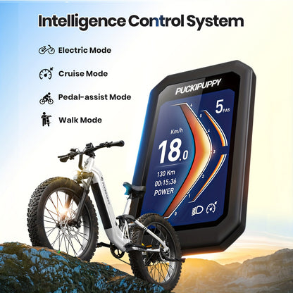 Electric Bike for Adults Rear High-power Brushless Motor, 48V 20AH Battery Adult Electric Bicycles, 26" Tire Full Suspension Step-Thru Ebike, 7 Speed, 80Miles Range, Camping Must Haves, Suitable for Outdoor Off-road And Urban Commuting(BoxerST)