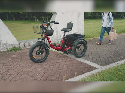 Adult Electric Tricycle, 20" Fat Tire Foldable Electric Tricycle with 749W Brushless Motor, 36V 15Ah Removable Battery Ebike 55Miles Range, 19MPH Cargo Tricycle with Basket, Suitable for Farm Work/Commuting/Travel
